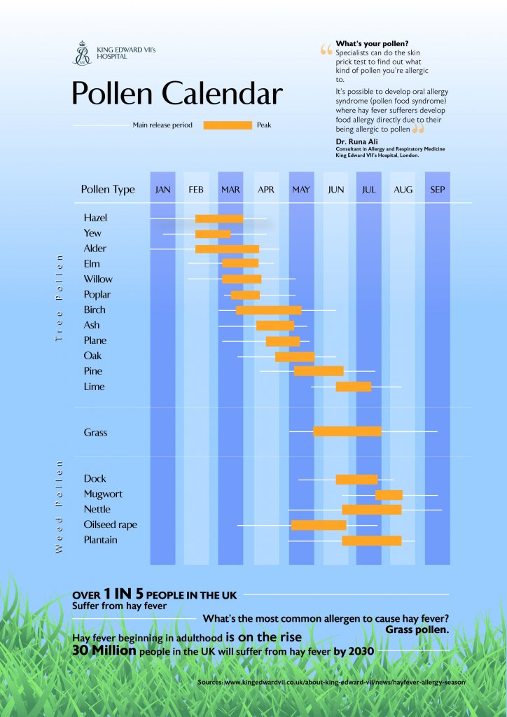 Food Allergy Chart Uk