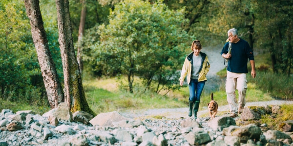 Couple with dog hiking in forest